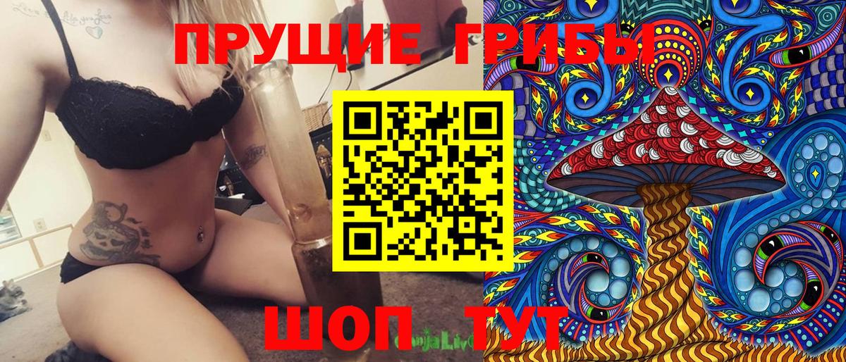 Псилоцибиновые грибы Cubensis Маркс